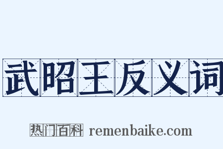 武昭王反义词是什么意思的图片
